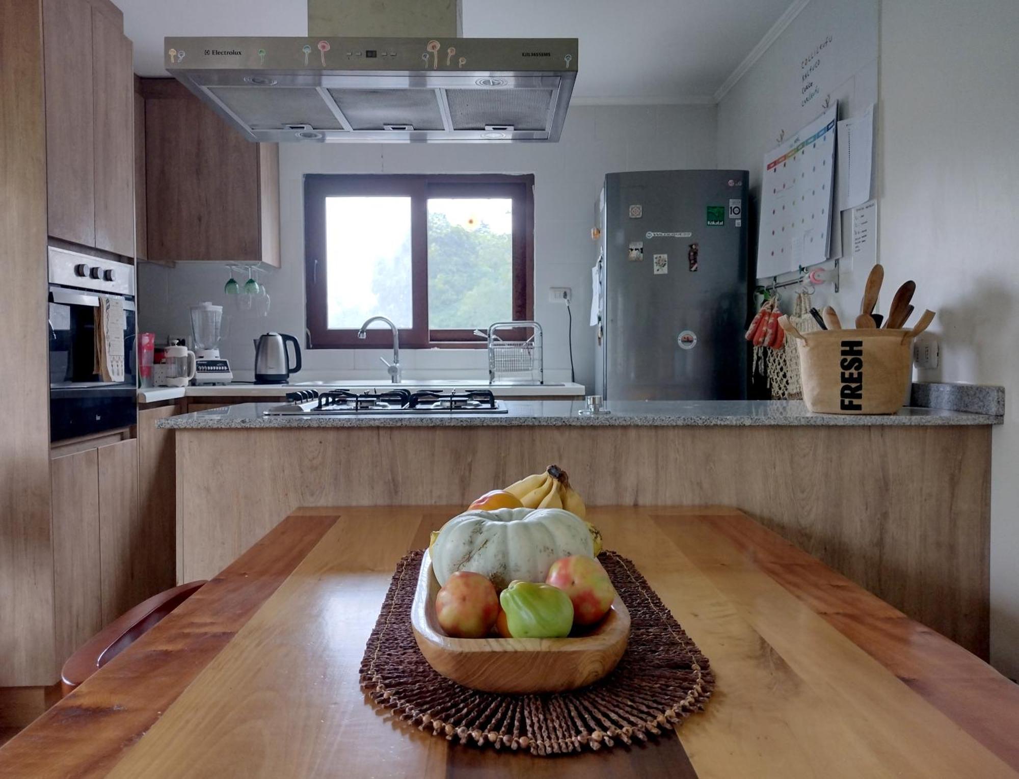הוילה וולדיביה Casa Rio Vivo מראה חיצוני תמונה