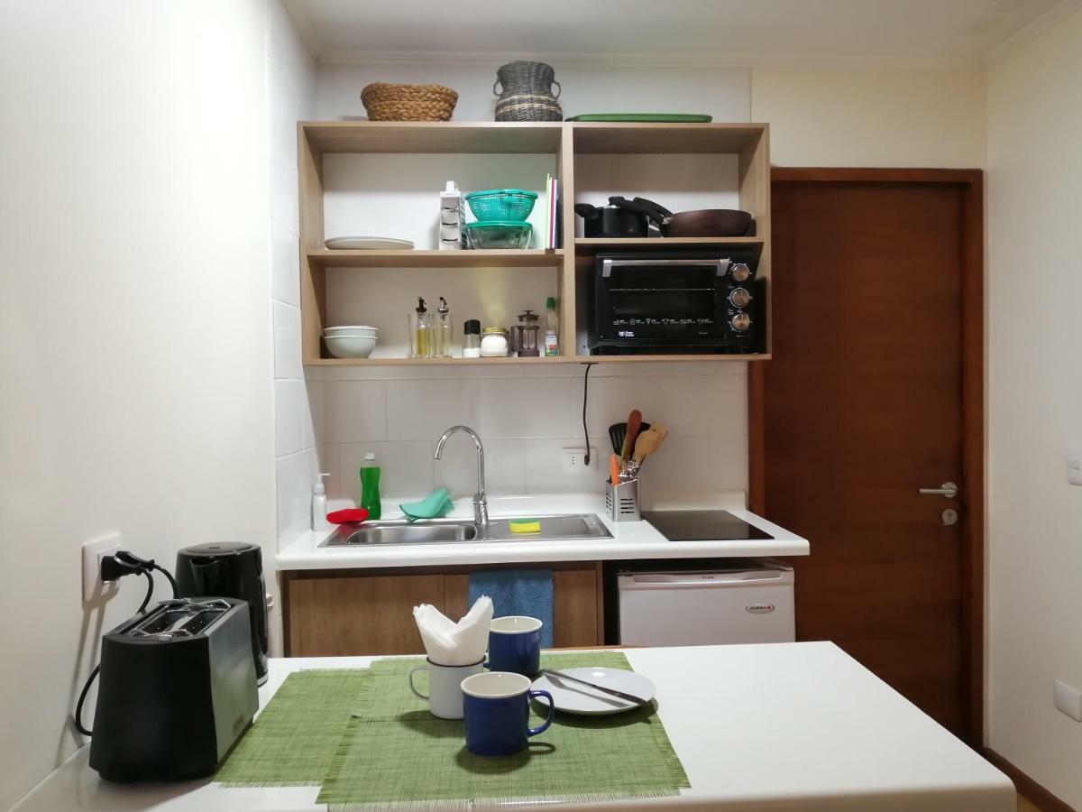 הוילה וולדיביה Casa Rio Vivo מראה חיצוני תמונה